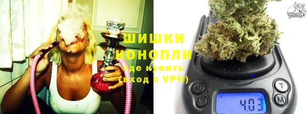 spice Горняк