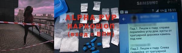 spice Горняк