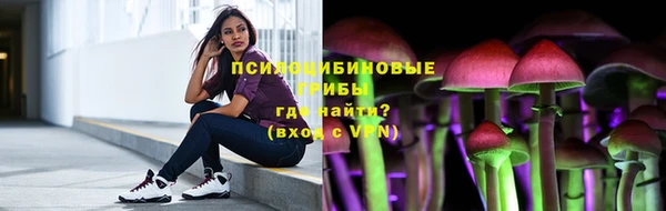 spice Горняк