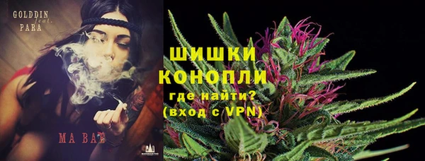 spice Горняк