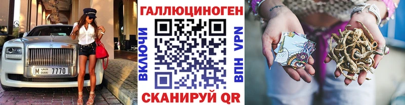 Купить где  Кириши  Галлюциногенные грибы Psilocybe 